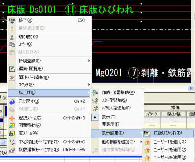 登録された床版ひびわれを選択した際のキャプチャ画像